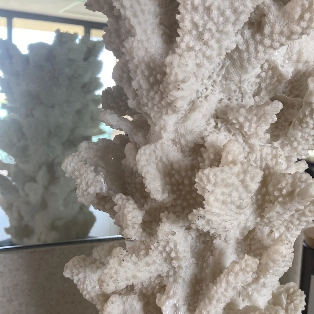 Coral Candle Holder